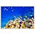 Painel Retangular - Fundo do Mar - Sublimado 3D - Imagem 1