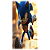 Faixa Lateral - Sonic - Sublimado 3D - Imagem 1