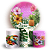 KIT Redondo e Trio - Tropical Floral - Sublimado 3D - Imagem 1