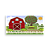 Painel Retangular - Fazenda - Sublimado 3D - Imagem 1