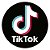 Capa Painel Redondo Sublimado - Tik Tok - Imagem 1