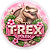 Capa Mini Painel Sublimado - Dino Rex - Imagem 1