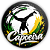 Capa Mini Painel Sublimado - Capoeira - Imagem 1