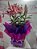 Vaso plantado - Imagem 2