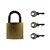 Cadeado 40mm com 3 chaves de janela mala Medio na cartela - Imagem 2