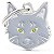 Identificador para Gato Maine Coon - Modelo MF39 - Imagem 1