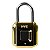 Cadeado Biométrico Digital Hye HYE-505 - Acabamento Dourado - Imagem 1