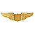 Alfinete em Formato de Asa Médio Tackette Dourado (5.1CM) - Imagem 1