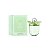 Perfume Feminino Eau de Toilette Women'Secret It's Fresh 100ML - Imagem 1