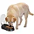 Alimentador Automático de Ração Para Animais de Estimação Pawise - Modelo 11081 - Imagem 2