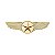 Emblema Estrela Dourada com Asa - Grande (6,4 CM) - Imagem 1