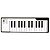 Teclado Controlador Arturia Microlab 25 Teclas - Edição Black - Imagem 1