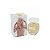 Perfume Elie Saab Branco Eau de Parfum 90ML - Imagem 1