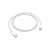 Cabo Apple USB-C Lightning MUQ93ZM/A 1m Original - Imagem 1