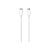Cabo USB-C Apple - USB-C MLL82ZM/A de 2 Metros - Imagem 1