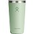 Garrafa Térmica Hydro Flask T20CPC338 (591mL) Aloe - Imagem 1