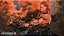 Jogo Horizon Zero Dawn Complete Edition PS4 Físico Seminovo - Imagem 5