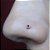 Piercing de Nariz Prata Pedrinha - Imagem 2