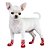 Meias para PET - Imagem 1
