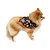 Bandana Estampada Halloween - Imagem 3