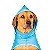 Capa de chuva PET - Imagem 1