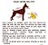 Moletom PET Sapo - Imagem 2