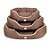 Cama Oval Sarja Lisa | Marrom - Imagem 1