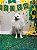 Fundo Fotográfico para Pets, bebês, Temas variados Festa Junina Copa do Mundo Tecido Sublimado - Imagem 9