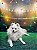 Fundo Fotográfico para Pets, bebês, Temas variados Festa Junina Copa do Mundo Tecido Sublimado - Imagem 8