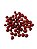 FAVA DA SORTE UNID - Imagem 1