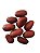 FAVA DE LOGUN UNID - Imagem 1