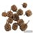 FAVA ATRACAO UNID - Imagem 1
