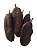FAVA JUCA UNID - Imagem 1