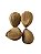FAVA IFA UNID - Imagem 1