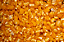 CANJICA VERMELHA 500GR - Imagem 1