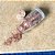 BioGlitter  - Natural e Vegano – Brilhe sem Poluir o Planeta! - Imagem 14