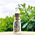 BioGlitter  - Natural e Vegano – Brilhe sem Poluir o Planeta! - Imagem 5