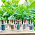 BioGlitter  - Natural e Vegano – Brilhe sem Poluir o Planeta! - Imagem 2