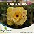 Enxerto CANAN 46 - Imagem 1