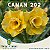Enxerto CANAN 202 PERFUMADA - Imagem 1