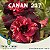 Enxerto CANAN 237 PERFUMADA - Imagem 1