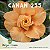 Enxerto CANAN 255 PERFUMADA - Imagem 1