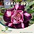 Enxerto CANAN 262 PERFUMADA - Imagem 1