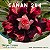 Enxerto CANAN 264 PERFUMADA - Imagem 1