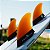 FCS II Rob Machado Tri-Keel - Medium - Imagem 3