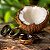 Anéis de Tucun Coco Natural Atacado Revendedores 100un - Imagem 5
