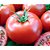 50 Sementes De Tomate Caqui Híbrido Dominador - Imagem 9