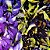 200g Flor Fada Azul (faz 110l) - Flores desidratadas de Clitoria Ternatea - Imagem 2