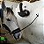 Argola Aço Inox Suporte Parede Baia Cavalo Com Parafuso - Imagem 7