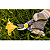 Tesoura Para Poda Jardim Profissional TP3208 8 Pol Vonder - Imagem 5